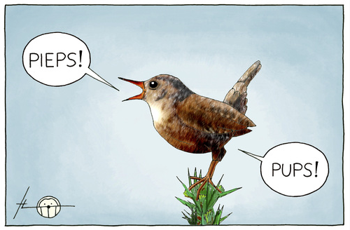 "Pieps!"  