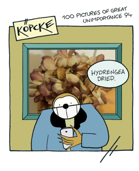 pogu94 trockene hortensie