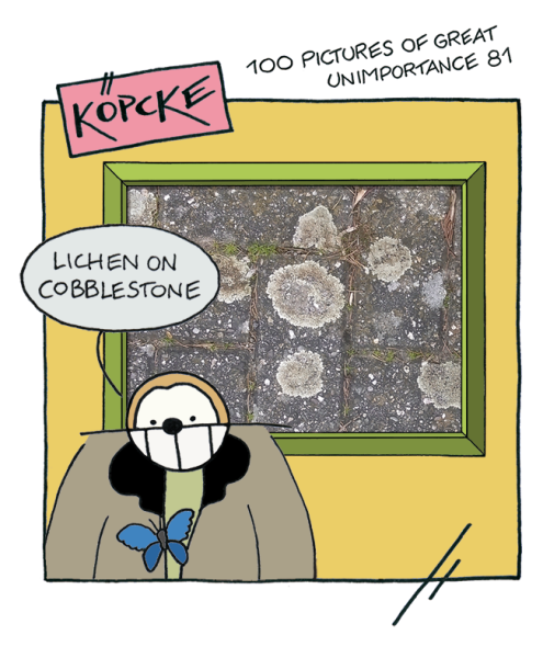 pogu mushrooms on cobblestone